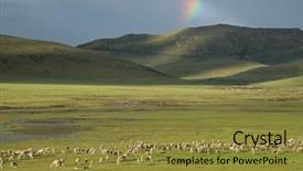  Presentation with rain clouds - Cool new presentation with large flock of sheep grazing backdrop and a  colored foreground