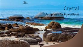  Presentation with ocean conservation - Colorful slide deck enhanced with large-flock-of-spectacled-penguins backdrop and a light blue colored foreground