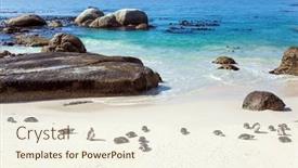  Presentation with ocean conservation - Audience pleasing slide set consisting of large-flock-of-spectacled-penguins backdrop and a cream colored foreground