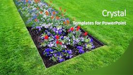  Presentation with grown - Beautiful presentation theme featuring large garden with variety of freshly grown flowers and greenery backdrop and a shamrock green colored foreground
