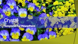  Presentation with grown - Colorful presentation theme enhanced with large garden with variety of freshly grown flowers and greenery backdrop and a royal blue colored foreground