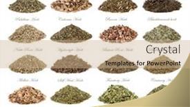  Presentation with alternative medicine - Cool new PPT theme with large-herb-selection-used backdrop and a coral colored foreground