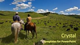  Presentation with cattle beef - Amazing presentation theme having large herd of cattle backdrop and a tawny brown colored foreground