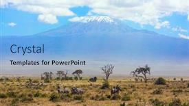  Presentation with savannah - Beautiful slide set featuring large-herd-of-zebras-graze backdrop and a light blue colored foreground