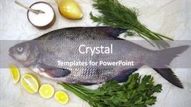  Presentation with fish river - Audience pleasing presentation theme consisting of large live bream river fish backdrop and a gray colored foreground