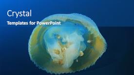  Presentation with jellyfish - Colorful slide deck enhanced with large mosaic jellyfish in ocean backdrop and a ocean colored foreground