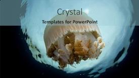 Presentation with jellyfish - Amazing PPT theme having large mosaic jellyfish backdrop and a light blue colored foreground