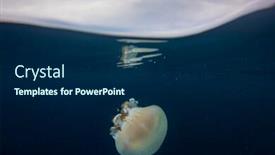  Presentation with jellyfish - Beautiful slide deck featuring large mosaic jellyfish backdrop and a navy blue colored foreground