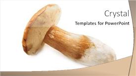  Presentation with mushroom - PPT theme with large-mushroom-isolated-on-white background and a white colored foreground