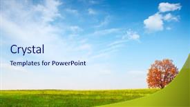  Presentation with green tree - PPT theme featuring large oak trees - alone red autumn tree background and a sky blue colored foreground