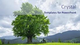  Presentation with green mountains - Theme enhanced with large-old-beech-tree background and a sky blue colored foreground