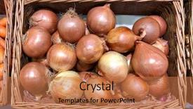  Presentation with green onions and bulb onion - Cool new PPT theme with large onions in a wicker backdrop and a coral colored foreground