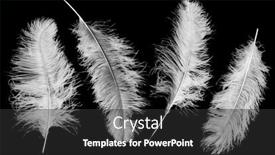  Presentation with pure white - Presentation theme enhanced with large-pure-white-ostrich-feathers background and a dark gray colored foreground