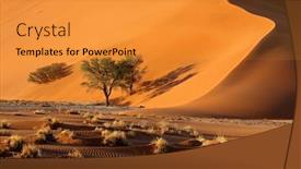  Presentation with thorn - Presentation featuring large-red-sand-dune background and a gold colored foreground