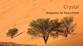  Presentation with thorn - PPT theme featuring large-red-sand-dune background and a yellow colored foreground