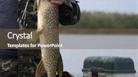  Presentation with fish river - PPT theme with large river fish pike fisherman background and a tawny brown colored foreground