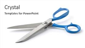  Presentation with white holstein friesian dairy cow - Audience pleasing presentation theme consisting of large scissors isolated on white backdrop and a white colored foreground