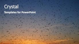  Presentation with mosquito - Presentation consisting of large swarm of mosquitoes background and a ocean colored foreground