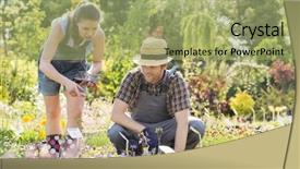  Presentation with nursery plant - PPT theme consisting of large tree - gardeners discussing at plant nursery background and a  colored foreground