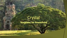  Presentation with cambodia - PPT theme with dictionary page with word jungle background and a soft green colored foreground