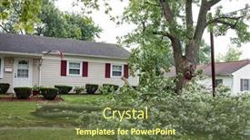  Presentation with storm - Presentation theme enhanced with large-tree-branches-down background and a tawny brown colored foreground