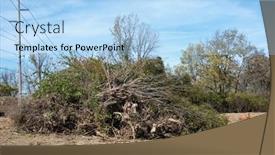  Presentation with land - PPT layouts with large-tree-debris-pile background and a  colored foreground