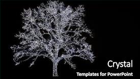  Presentation with christmas lights - Theme enhanced with large tree wrapped with lights background and a  colored foreground