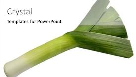  Presentation with welsh - Audience pleasing presentation theme consisting of large welsh leek isolated over white backdrop and a white colored foreground