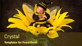  Presentation with sleeping baby - Colorful slide deck enhanced with large-yellow-sunflower backdrop and a tawny brown colored foreground