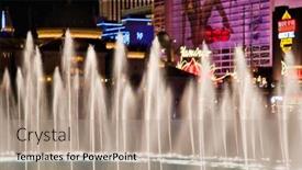  Presentation with flamingo - 