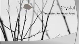  Presentation with last - Audience pleasing slides consisting of bi plane - vintage stearman flies in formation backdrop and a light gray colored foreground.