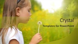  Presentation with last - PPT theme with last dandelion in this year background and a yellow colored foreground