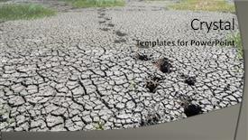  Presentation with land pollution - Colorful PPT theme enhanced with last footprints on drought land backdrop and a light gray colored foreground