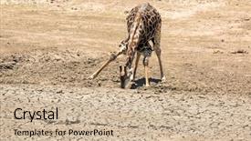  Presentation with water park - Slides with last water from a parched background and a soft green colored foreground
