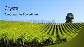  Presentation with rowing - Amazing presentation theme having late afternoon sun baths backdrop and a  colored foreground