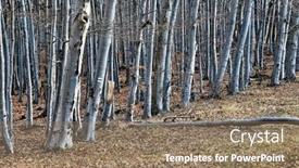  Presentation with trees - Presentation enhanced with late-autumn-landscape-with-bare background and a coral colored foreground
