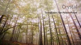  Presentation with forest morning - Cool new theme with late-autumn-landscapes-misty-forest backdrop and a soft green colored foreground