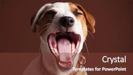 Presentation with fun - PPT theme with laughing happy dog fun puppy background and a tawny brown colored foreground