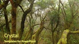 Presentation with mystic - Theme having laurel forest in canary islands background and a  colored foreground
