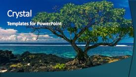  Presentation with single tree - Slide deck consisting of lava rocks on upolu samoa background and a ocean colored foreground