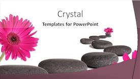  Presentation with lava - Amazing theme having lava stones with daisy flowers blooms isolated on white background backdrop and a white colored foreground