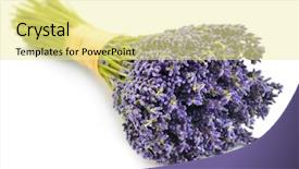  Presentation with lavender - PPT layouts having fall colors near sabrina lake background and a tawny brown colored foreground