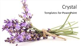  Presentation with lavender flowers - Audience pleasing presentation theme consisting of lavande - lavender flowers backdrop and a white colored foreground