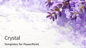  Presentation with mineral - Cool new PPT theme with lavender and mineral bath salts backdrop and a cream colored foreground
