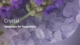  Presentation with lavender - Amazing presentation having lavender arrangement backdrop and a violet colored foreground