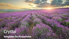  Presentation with forest beautiful spring nature - Cool new presentation theme with lavender beautiful meadow spring nature backdrop and a dark gray colored foreground
