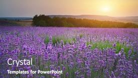  Presentation with beautiful nature - Slides with lavender-beautiful-meadow-spring-time background and a violet colored foreground