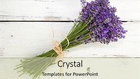  Presentation with lavender flowers - Presentation design consisting of lavender bouquet on white wooden background and a soft green colored foreground