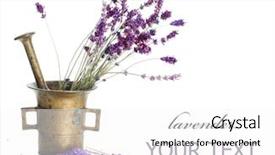  Presentation with herbal cosmetics - Slide set featuring lavender cosmetics concept background and a white colored foreground