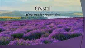  Presentation with river forest - Presentation theme having lavender-field-blooms background and a light blue colored foreground